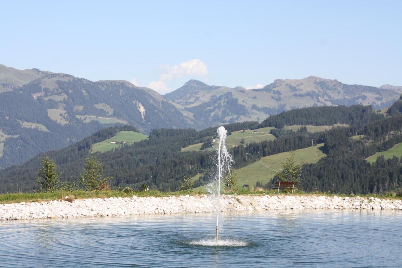 Absolute Active Roulette Apartments Kirchberg Kirchberg en Tyrol Extérieur photo
